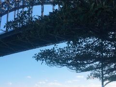 -悉尼海港大桥