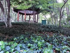 -临平公园(临平街道)
