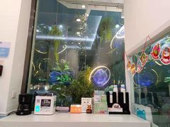 -纳吉亚猫专科动物医院·北北分院