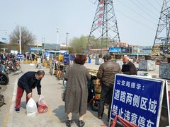-中环花鸟鱼虫市场