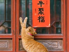 -英歌魂(渔湖店)