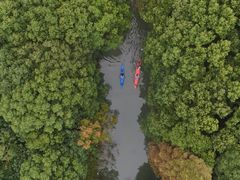 -动邦皮划艇·桨板·独木舟·团建户外运动俱乐部