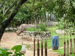 -深圳野生动物园