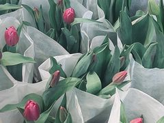 -双季花艺园艺市场(浦东店)