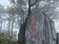 -梧桐山风景名胜区