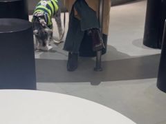 -Manner Coffee(成都龙湖北城天街店)