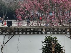 -无锡梅园公园