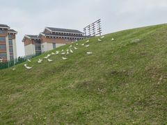 -嘉兴清池酒店温泉