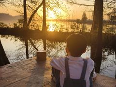 -东湖落雁景区