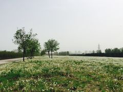 -汉长安城未央宫国家考古遗址公园