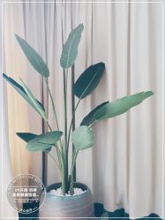 -丹漪·DANYI 美肤中心