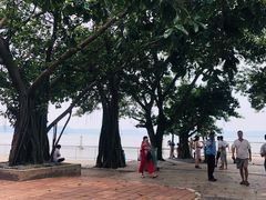 -大湾区中央湿地公园