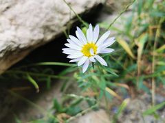 -碓臼峪自然风景区