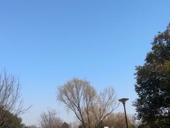 -祥源·阜阳生态乐园