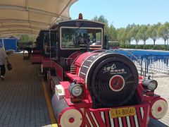 -呼兰河口湿地公园