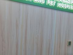 -瑞鹏宠物医院·微创内窥镜·骨外科·牙科(翠竹分院)