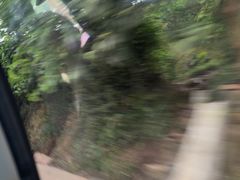 -樱桃山旅游景区