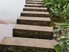 -重庆彩云湖湿地公园