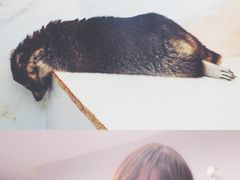 -浣熊柯尔鸭土拨鼠·电玩咖