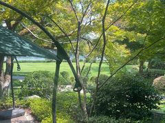 -浙江西子宾馆·瑶园咖啡厅