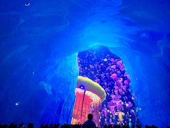 -海合安青岛极地海洋公园