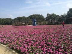 -广州市流溪河国家森林公园