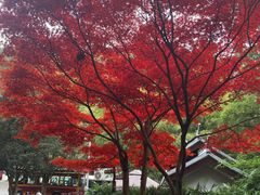 -岳麓山风景名胜区