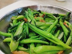 -绿丰园农家菜(南北大厦店)
