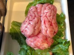 猪脑花-杨家火锅(国美店)