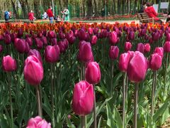 -长春公园(普阳街道)