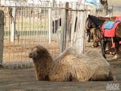 2-赛汗塔拉风情园