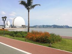 -野狸岛