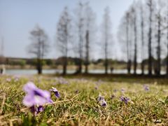 -东湖落雁景区
