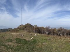 -灵山