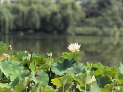 -木塔寺遗址生态公园