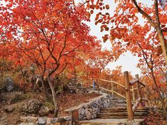 -幽岚山·童话森林