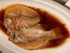 -华盛丰温州大排档(东三环南路店)