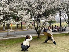 -同济大学(嘉定校区)