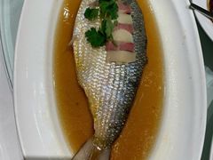 特色酒香鲥鱼-上海会馆(香港名都店)