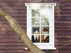 -三鹰之森吉卜力美术馆