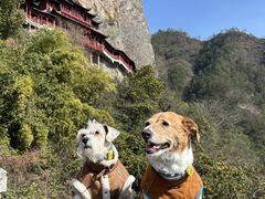 -大慈岩风景区