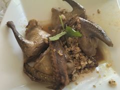 -百利鸽王(紫薇路店)