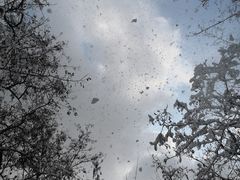 -二一九公园