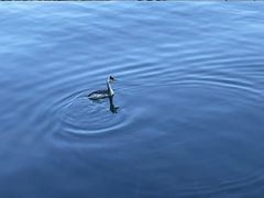 -西昌邛海宾馆