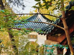 -云龙山