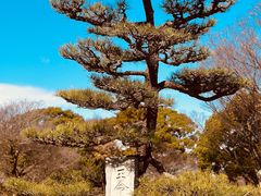 -名古屋城