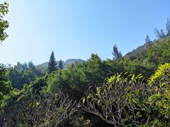 -草庵摩尼教遗址公园