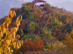 -大岭沟猕猴桃谷风景区