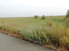 -敕勒川草原文化旅游区