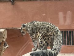 -青藏高原野生动物园